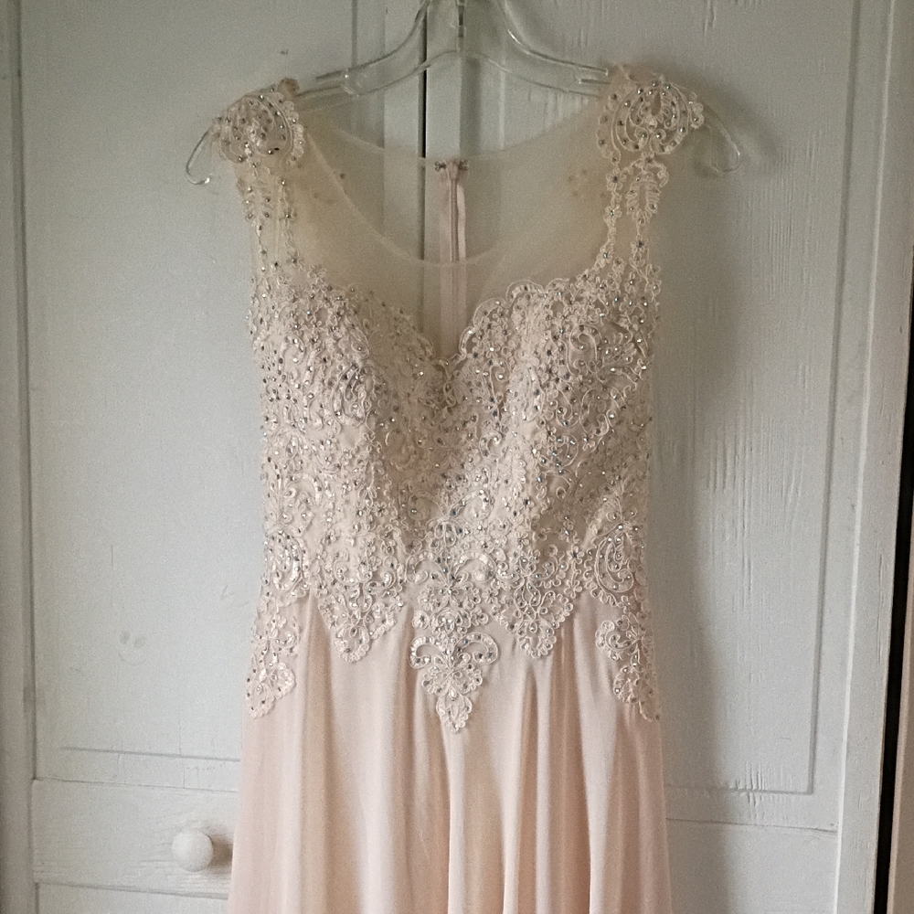Illusion Bodice Dress in Blush